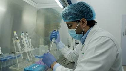 Research and Development (R&D)